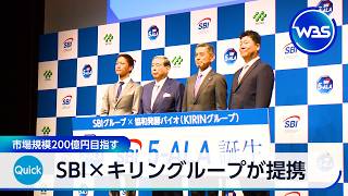 SBI×キリングループが提携 市場規模200億円目指す【WBS】