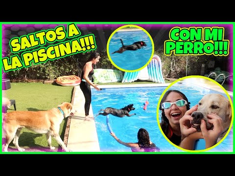 SALTOS a LA PISCINA CON MI PERRO!!! RETOS en LA ALBERCA CON MI MASCOTA!!! LUNA APRENDE A NADAR!!!