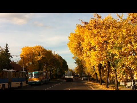 Eger 11-es járat; Lajosváros - Felnémet, Béke utca