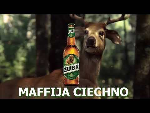 MAFFIJA CIECHNO - ŻUBR (Akcent - Kylie REMIX)