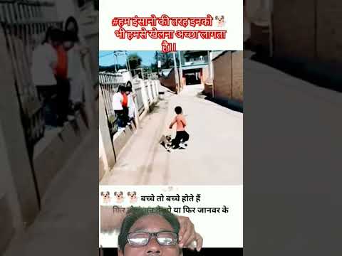 #dog #doglover #funny #comedy #shamim