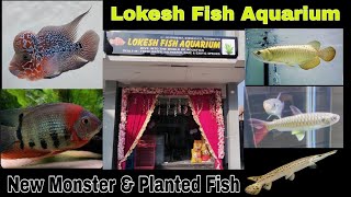 New Fish Store | Lokesh Fish Aquarium AGRA #fish