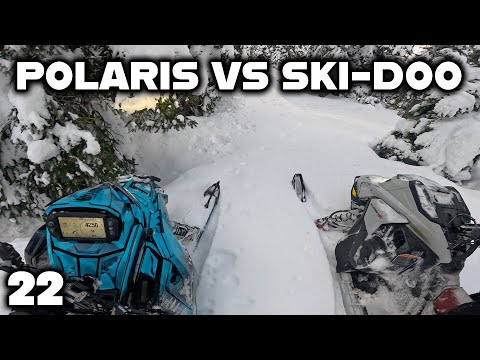 Polaris 9R In The Trees