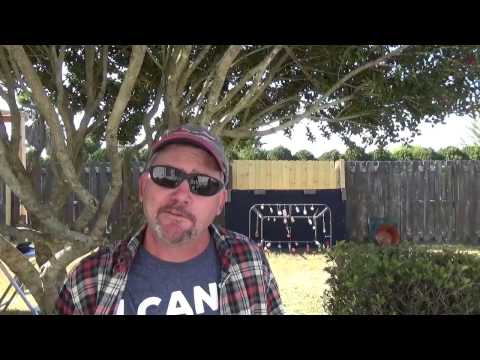 AIR RIFLE IMPACT TEST GAMO VARMIT VS UMAREX TORQ