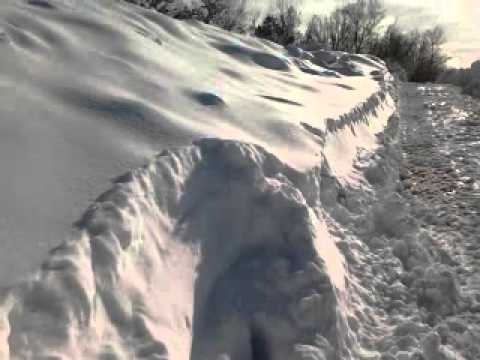 1 metro e 20cm di neve a Cornedo vicentino vi.