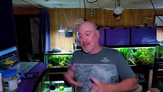 Friday Night Fish N Hits w/ Dan