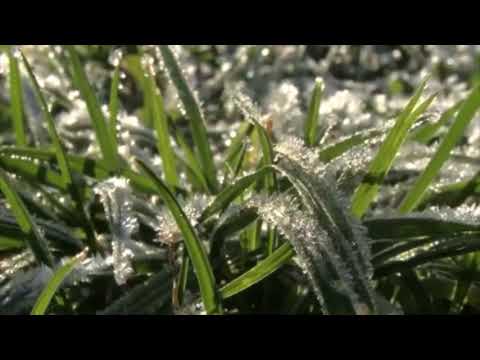 Wolna Grupa Bukowina i Ela Adamiak - Nuta z Ponidzia - Idzie wiosna