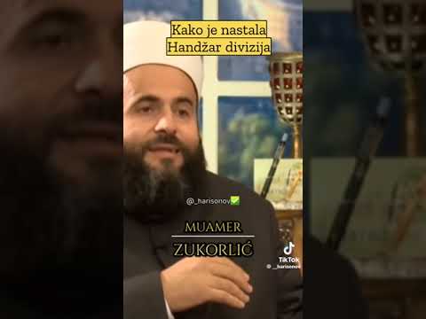 Kako je nastala Handzar divizija