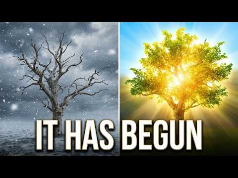 Recognizing Shifts in Your Life