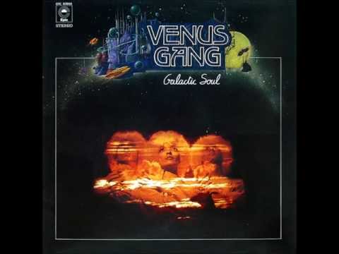 VENUS GANG   Love To Fly   EPIC RECORDS   1978