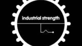 Popular Facts - Moshpit