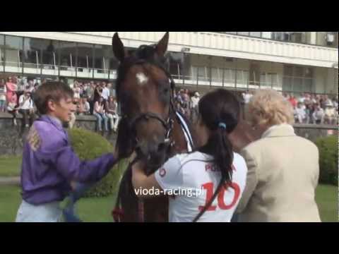 Derby arabskie - 22.07.2012 - Pirat (Akbars - Parafraza) - dekoracja