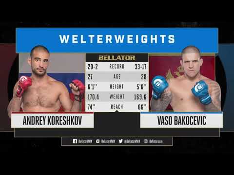 Cela tuča|Andrey Koreshkov🇷🇺 VS Vaso Bakočević🇲🇪|Belator 203
