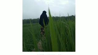 Download lagu Literasi 15detik #story mp3