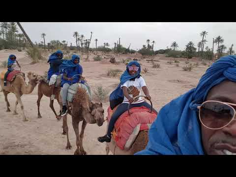 Camel riding in Morocco ☀️🐫🐫🐫🐫🐫🤟🏾