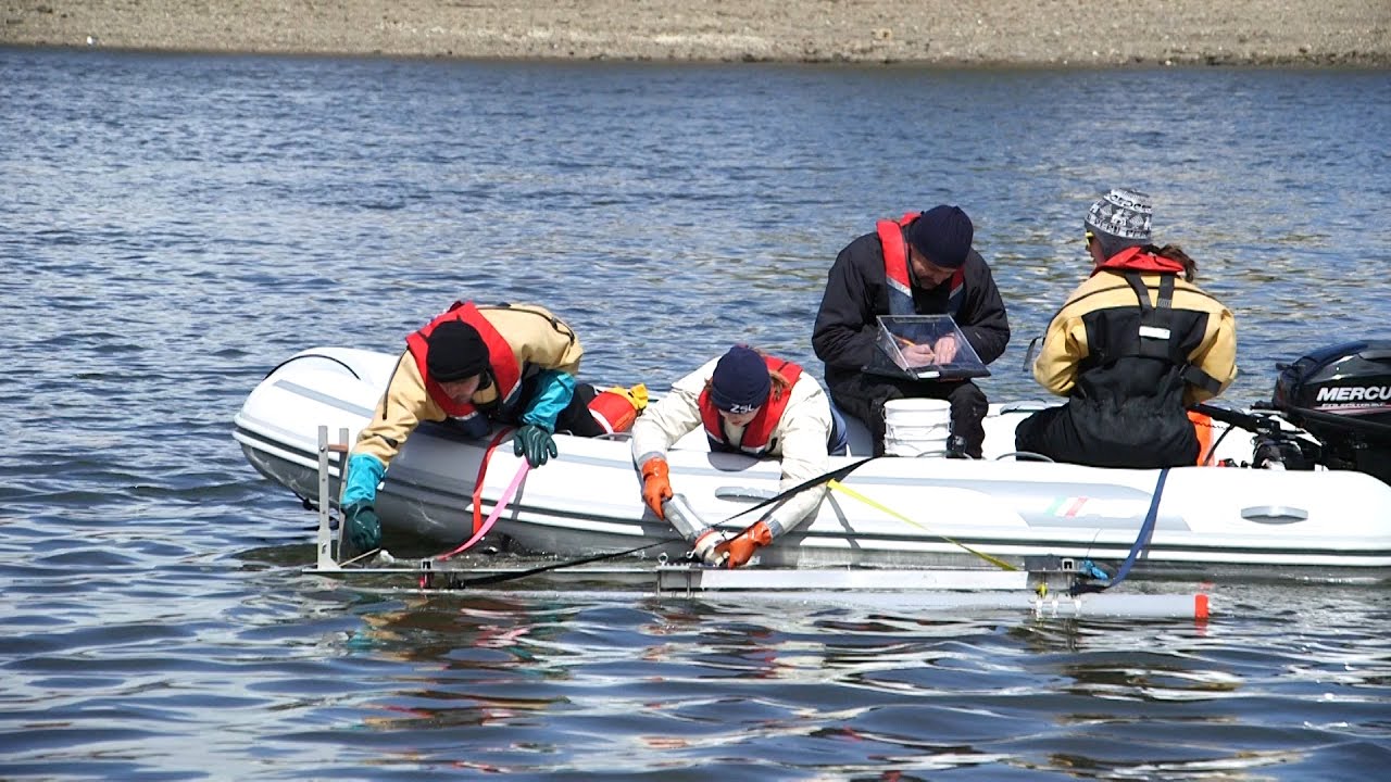 Conserving the Tidal Thames
