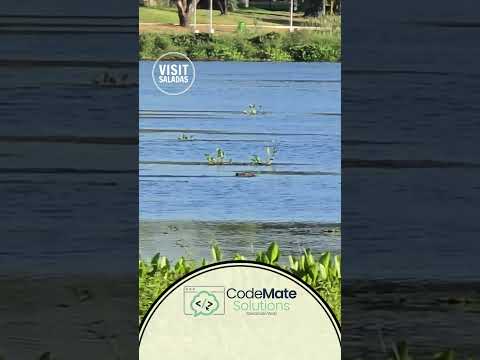 🌊🦫 Así despierta la Laguna Soto