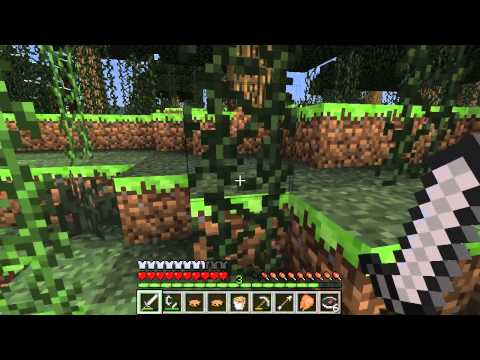 Minecraft Hunger Games w-Stoodle Ep.5 - Diamond Guy?!?