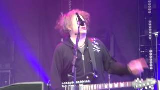 Screw - The CURE(2016.05.31 Festival Lawn at Deer Lake Park)