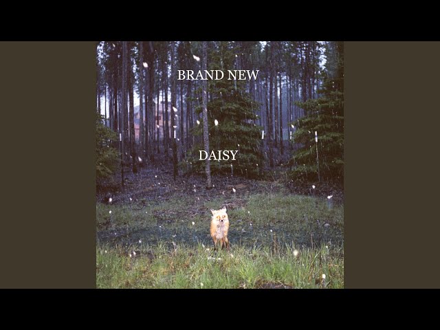 Lo mejor de Brand New: su historia, estilo y canciones icónicas