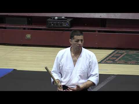 Birankai Aikido Summer Camp 2019 - F. Apodaca Shihan, Class 5 - Weapons