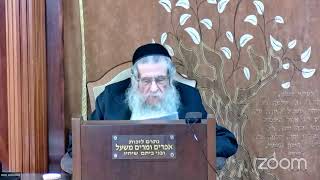 הרה"ג הרב וועכטר שליט"א ד' איי (הרב אברהם מנחם מענדל וכטר) - התמונה מוצגת ישירות מתוך אתר האינטרנט יוטיוב. זכויות היוצרים בתמונה שייכות ליוצרה. קישור קרדיט למקור התוכן נמצא בתוך דף הסרטון