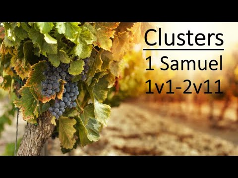 Clusters: 1 Samuel 1v1 to 2v11