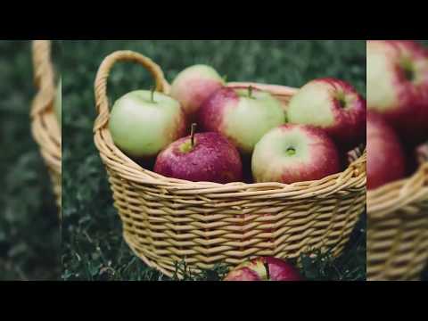 download lagu mp3 mp4 What Apples Are In Season Now In Ontario, download lagu What Apples Are In Season Now In Ontario gratis, unduh video klip What Apples Are In Season Now In Ontario