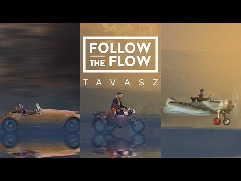 Follow The Flow - Tavasz on Spotify Charts
