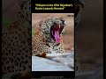 EBNW Story 10 Video thumbnail