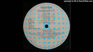 Tevatron - Strange Vibe