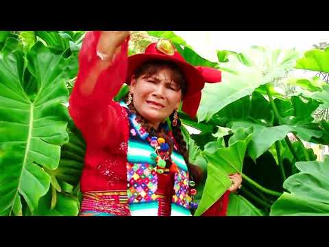 SAMANTHA ARCE  _ PERDI LA CONFIANZA (Video Oficial)