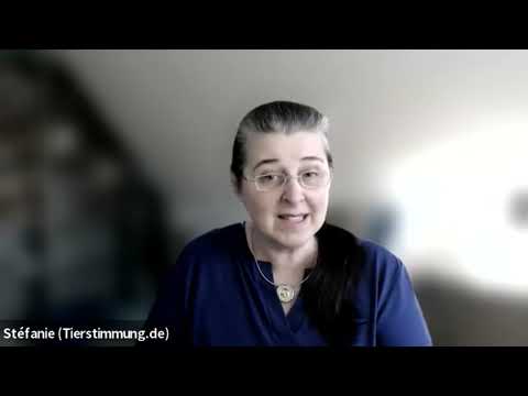 Tierkommunikation – Himmelsgespräche, Seelengespräche, Sterbebegleitung 💖