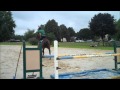 Clifton Eagle SOLD