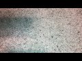 Opening To Schoolhouse Rock Science Rock 1995 VHS SP Mode Version