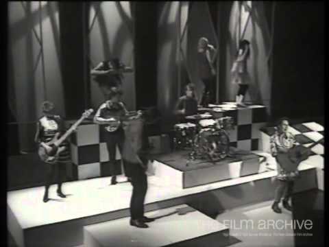 Bird Nest Roys // Aint Mutatin  YouTube Thumbnail