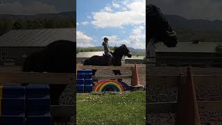 Horse riding in your 30s 😂 #equestrianjourney #canter #equestrian #horse #horses #horseridingshort