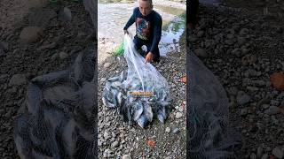 Download lagu JALA IKAN DAPAT BANYAK SAMPE GAK KUAT BAWA #SHORTS #JALAIKAN mp3