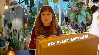 🪴 rousseau plant care unboxing + trying new products! foldable pots, light install, + more 📦