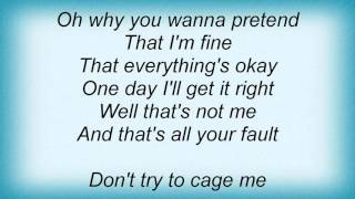 18596 Plumb - Cage Lyrics