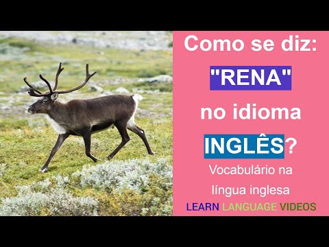 Como se diz: "RENA" no idioma INGLÊS? | Educação gratuita | Língua inglesa | Vocabulário.