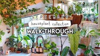 Walkthrough My HUGE Houseplant Collection 🪴🌿