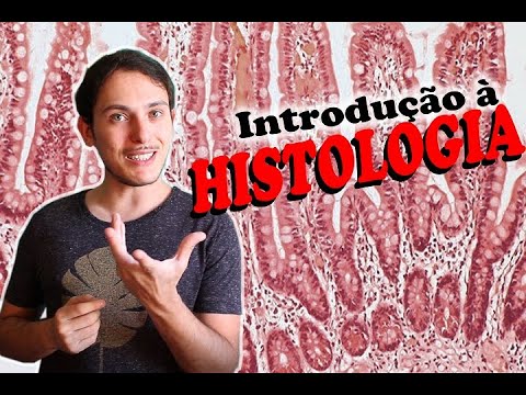 Histologia: Tecidos do Corpo Humano.