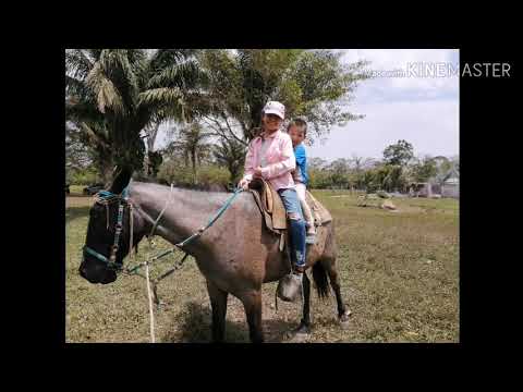 Yopo2 cantoral mojeño