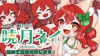 【自己紹介動画】改めて初めましての方などへご挨拶！