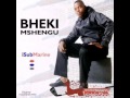 BHEKI MSHENGU