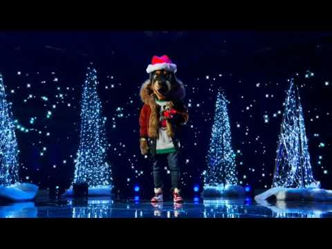 the masked singer The rottweiler "mr. Brightside" by The killers