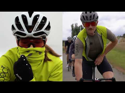 A Previsão e o Imprevisto: Coleção BOLD