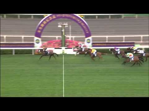 2015 Queens Silver Jubilee Cup (HK Group 1)