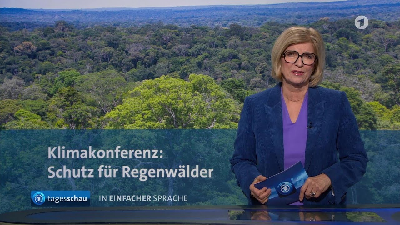 tagesschau in Einfacher Sprache 19:00 Uhr, 07.11.2025